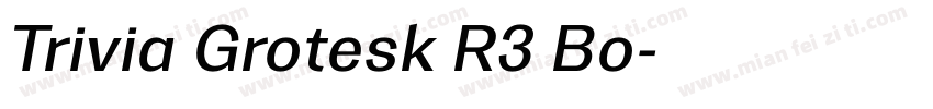 Trivia Grotesk R3 Bo字体转换